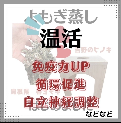 「枚方市伊加賀東町★　リンパ浮腫・腸活サロンageratos よもぎ蒸し、まいぷれ特別料金！！」