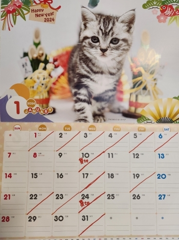 「龍年１月カレンダー」