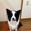 今年もお世話になりました∩^ω^∩