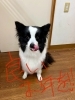 愛桜と書いてあいりです😆「今年もお世話になりました∩^ω^∩」