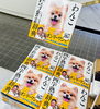 『わんこ四字熟語辞典』「『わんこ四字熟語辞典』発売！」