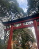 大宮八幡宮「まいぷれ杉並区　杉並区　大宮八幡宮」