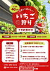 いちご園「湖南市内にあるいちご園」