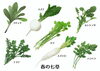 「春の七草【徒然　年初め　行事】」