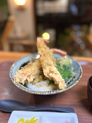 「大エビ天丼🦐《二本松で美味しい和食ランチと言えばめぐみ家》」