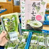 「道の駅木曽福島 直売所 春の七草セット販売中！」