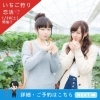 「恋活サークルいちご狩り🍓in静岡市#恋活イベント#恋活飲み会#恋活サークル」