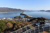「辰年、飛翔の年に」