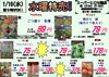 「本日の特売！！」