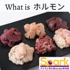 What is ホルモン？「Teacher'sコーナー175号 How to explain Japanese foods.【千葉のならいごと　英会話スクール】」
