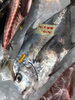 「魚魚市場鮮魚コーナーおすすめは「イトヒキダイ」です♪」