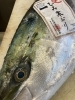 氷見の寒ぶり「氷見の寒ぶり」