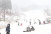 「雪が降り始めました❄️」