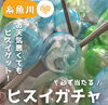 「糸魚川市内のヒスイガチャ2ヶ所を紹介💎」
