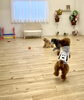 Ｇro＆ぷっか＆綺羅　仲良くボールを追いかけ中「ましゅまろ幼稚園🐾パート２」