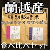 ゆめぴりか✖️ななつぼし食べ比べセット。「蘭越産お米各2.5kg食べ比べセット。」