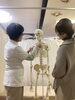 人体模型を基に、現在の骨の歪みの状況を丁寧に解説「身体の歪みのきっかけとメカニズムを知り、対処法をひもときます！」