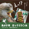 「鳥よけ糸に再利用♫【アップサイクル】」