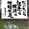 だいたいの諸悪の根源