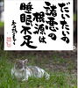 睡眠不足「だいたいの諸悪の根源」