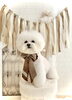 めろでぃちゃん「Happy Valentine💕」