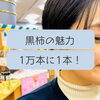 「黒柿の魅力発見😍‼️斐川町　仏壇」