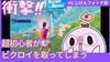 「新作フォトナ動画！🐣」
