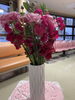 「今週のお花」