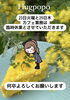 「臨時休業のお知らせ【福井韓国風カフェ Hugpopo ハグポポ】」
