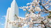 「春の卒業旅行や女子旅におすすめ🌷3-4月限定宿泊プラン🌷」