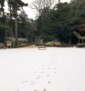 「まずは、〇〇から⭐️」