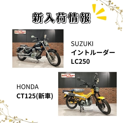 イントルーダー、CT125「福岡バイク屋スエザキ　新入荷　イントルーダー、スーパーカブなど」
