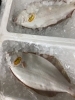 「魚魚市場鮮魚コーナーおすすめは「ヒラメ」です♪」