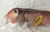 「魚魚市場鮮魚コーナーおすすめは「九十九島産生かき」です♪」