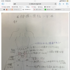 ^_^  皆様‼️「京都府長岡京市長岡 (セブン通り)整体＆リラクゼーションサロン AあんどZ」ちーぼーでーす😆