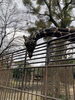 「動物園に行きました。」