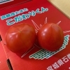 「「こだわりくん」入荷してます🍅」