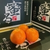 「今年も「蜜る」入荷しました🍊」