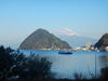 あわしまマリンパーク「あわしまマリンパークが閉園/静岡/熱帯魚/水槽レンタル/島田市/ペットショップ/内装プロデュース」
