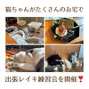 「出張レイキ練習会を開催しました(=^ェ^=) 氣功・整体・リーディング・ヒーリング」