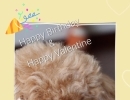 看板犬誕生日&バレンタイン企画❕／完全個室のリラクゼーションサロン