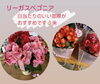 「新入荷✨🌸リーガスベゴニア💕【越前市/花屋/生花/プレゼント/ふるーれ・T】」