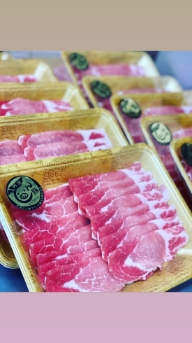「徳島県が誇る最高の豚肉✨」
