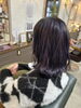 深めラベンダーグレー「2月のお知らせ」
