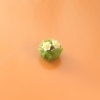 「上生菓子　きんとん　菓銘「水仙」」