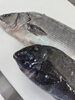 「2月1日のお刺身」