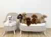 理玖♡リリー♡はぴ♡綺羅♡くま♡ハッピー「ましゅまろ幼稚園🐾　パート１」