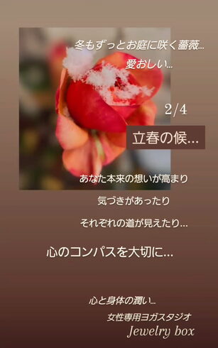 ✧︎*。一輪、咲き続ける薔薇✧︎*。「✧︎*。立春の候・春・心のコンパス・セルフトーク・朝のルーティン・エネルギーが高まる言葉【福島市のヨガスタジオ/プライベートレッスンあり/都度払い】」
