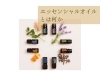 doTERRA】エッセンシャルオイル まぶしく