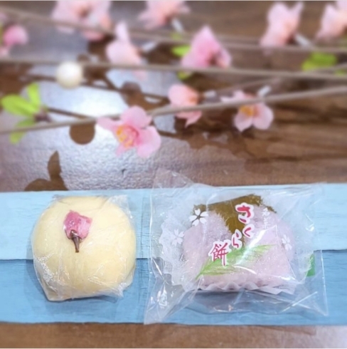 桜饅頭、さくら餅「〈桜-さくら-〉春の和菓子、お楽しみください✨」